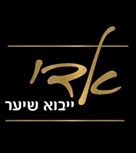 אדי תוספות שיער